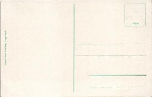 Nagyvárad, Oradea; Rákóczi utca, Darvasi és Gerliczy paloták. Boros Jenő kiadása / street, palaces