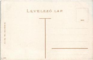 Nagykikinda, Kikinda; Piac tér, Turul Cipőgyár, Stein Péter üzlete / market, shops (EK)