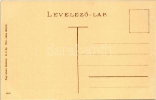 Munkács, Mukacheve, Mukacevo; Munkácsi Mihály utca, piac, nagy gramophon raktár, órás és ékszerész ü...