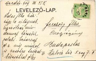 1909 Felsőbánya, Baia Sprie; látkép nyugatról utca. H. Riedl E. kiadása / view from West, street