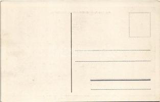 Pilis (Pest megye), Özv. Báró Nyáry László kastélya