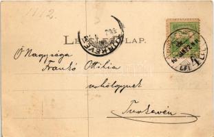 1902 Szolnok, Baross utca, gyógyszertár. Kalmár Miksa kiadása, Szigeti H. fényképész felvétele (EK)