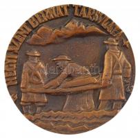 1943. "Hegyi Szent Bernát Társulata / St. Bernardus" kétoldalas, öntött bronz emlékérem. S...