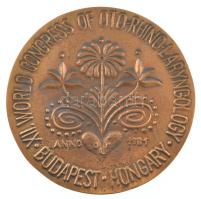 Kampfl József (1938- ) 1981. "Dr. Politzer Ádám orvosprofesszor" Br nagyméretű plakett. &q...