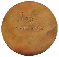 Csontos László (1925-2013) 1995. "Wesselényi Miklós" egyoldalas, öntött bronz plakett, hát...