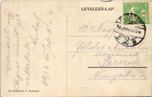 1913 Budapest XII. Svábhegy, Fogaskerekű Városkúti vasútállomása, Város-kút artézi forrás. Schwarcz ...