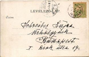 1905 Balatonberény, Berény; vasútállomás. Fischl Jakab és fiai kiadása