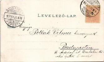 1899 (Vorläufer) Kolozsvár, Cluj; Fő téri templom, Fellegvár, Központi szálloda, Bánffy palota, Rigó...