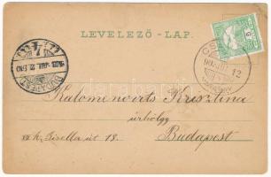 1903 Gidrafűrész, Pila bei Schattmannsdorf, Sägmühl, Píla (Castá); Bolla nyárilak, Felső fűrészmalom...