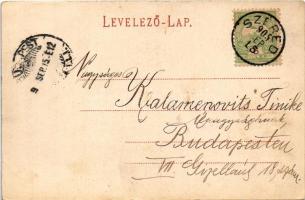 1905 Szered, Vág-Szered, Vágszered, Sered; Fő tér, üzlet. Schreiber Mór kiadása / main square, shop