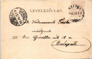 1899 (Vorläufer) Nyitra, Nitra; Telegdy utca, Engel Udvar, Bernstein Salamon üzlete, magyar címer. I...