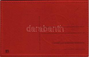 Üdvözlet a Krampusztól! repülőgép / Krampus on aircraft