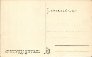 MÁV 202.002. p. sz. túlhevítős gyorsvonat mozdonya és 325. sor. átalakított Brotán kazános mozdonya....