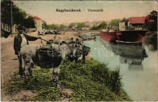 1915 Nagybecskerek, Zrenjanin, Veliki Beckerek; Vízvezeték és Béga part, uszály, vízhordó szamarak / riverside, barge, water transporting donkeys (Rb)