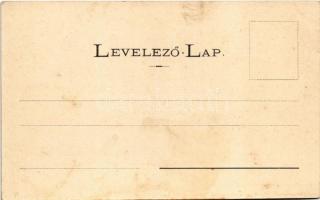 Boldogkőváralja, Bodókő (Boldogkő) vára, Martinuzzi Fráter György egyköri tulajdona. Kiadja Lövy A.,...