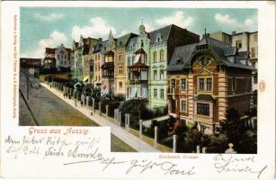 1900 Ústí nad Labem, Aussig; Kroitzsch Strasse / street view, villa. Aufnahme u. Verlag v. Carl Pietzner K.u.K. Hofphotograph (fa)