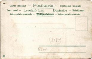 Budapest I. Ferenc József gimnázium. Ilona utca 2-4. (Szabó Ilonka utca). Szecessziós montázs páváva...