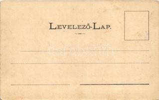 Tátra, Magas-Tátra, Vysoké Tatry; Kohlbach szálloda a lomnici csúccsal. Divald Adolf 99. / Hotel Koh...