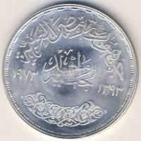 Egyiptom 1973. 1Ł Ag "FAO" T:1/2