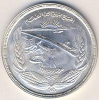 Egyiptom 1973. 1Ł Ag "FAO" T:1/2