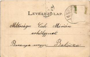 1904 Kistapolcsány, Topolcianky; József kir. herceg kastélya (régi Rákóczi udvar), út / castle, cour...