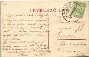 Jászó, Jászóvár, Jasov; Vár, Frankovich Dezső telepe, üzlete, háza és saját kiadása / castle, shop (...