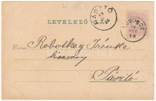 1899 (Vorläufer) Losonc, Lucenec; Városház, polgári leányiskola, posta és távirda, honvédemlék, zsin...