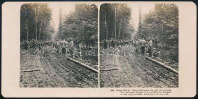 1915 Orosz hadifoglyok utat építenek a szövetséges csapatoknak wolhyniai erdőségben, sztereófotó, 8,5×17,5 cm