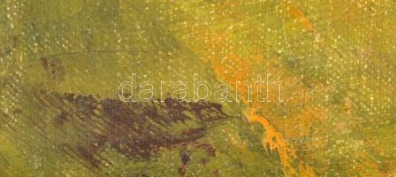 Olvashatatlan jelzéssel: Őszi táj (Mátra?). Olaj, vászon, dekoratív fakeretben. 41x50cm