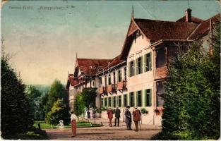 1914 Tarcsa, Tarcsafürdő, Bad Tatzmannsdorf; Gyógyudvar / spa, bath (fa)