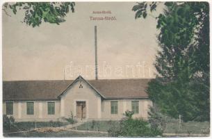 1910 Tarcsa, Tarcsafürdő, Bad Tatzmannsdorf; Anna fürdő. Magy. kir. Postahivatal kiadása / spa, bath (ázott / wet damage)