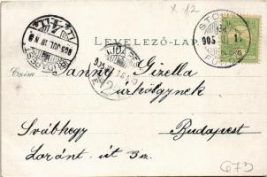 1905 Szomolnok, Schmölnitz, Smolník; Uhornai tó. Wlaszlovits G. kiadása. Szecessziós keret / Úhorná ...