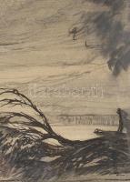 Haranghy Jenő (1894-1951): Áradás a Dunán, az újpesti Szúnyog-szigetnél (Népszigetnél), 1928. Szén, ...