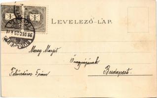 1898 (Vorläufer) Körmöcbánya, Kremnitz, Kremnica; Főtér felső és alsó része, Szentháromság szobor, V...