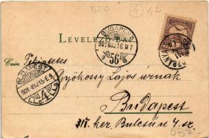 1901 Selmecbánya, Schemnitz, Banská Stiavnica; Szentháromság szobor, bor és sörcsarnok. Joerges kiad...