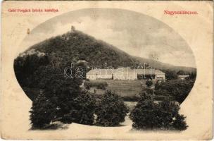 1911 Nagyszalánc, Szalánc, Slanec; Forgách kastély, várrom. Fogyasztási szövetkezet kiadása / villa, castle ruins (EB)