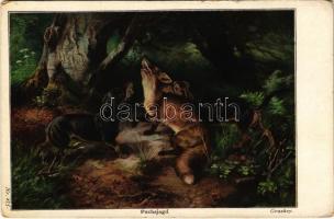 Fuchsjagd / fox hunting with dogs, art postcard s: Grashey (EK)