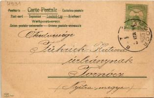 Fuchsjagd / fox hunting with dogs, art postcard