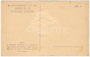 Pozsony, Pressburg, Bratislava; A Felvidék visszacsatolásának emlékére. Irredenta művészlap. Szeiler...