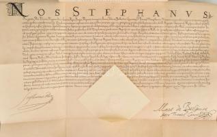 Petri Mór: Szilágy vármegye monographiája. Szilágy Vármegye Törvényhatósági Bizottságának megbízásáb...