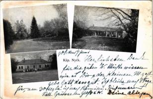 1908 Kápolnásnyék, Káp. Nyék; Kenesse és balassa kastély, park (EK)
