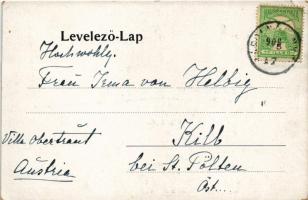 1908 Kápolnásnyék, Káp. Nyék; Kenesse és balassa kastély, park (EK)