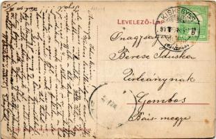 1911 Kishegyes, Mali Idos; Községháza, községi vendéglő, római katolikus templom / town hall, restau...