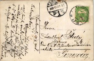 1908 Karlóca, Karlowitz, Sremski Karlovci; ünnepség főurakkal és csendőrökkel / celebration with nob...