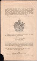 1909 Illyefalvi Gödri Ferenc járásbíró, 1848-as hadnagy részére szóló címeres levél (kiváltságlevél)...