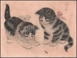 Olvashatatlan jelzéssel: Cicák. Akvarellel színezett rézkarc, papír, kissé foltos, lap széle sérült,...