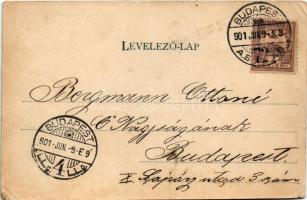 1901 Alaska Juliette kitűnően idomított fókáival naponta az állatkertben, cirkuszi mutatvány / Circu...