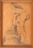 Dienes jelzéssel: Női akt. Ceruza, papír. Üvegezett fakeretben, 26×18 cm