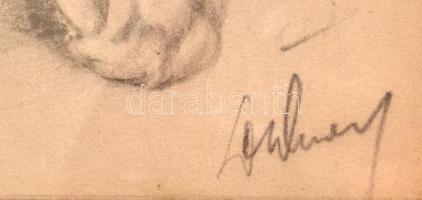 Olvashatatlan jelzéssel: Oroszlánkölyök. Ceruza, papír. Üvegezett fakeretben, 17×26,5 cm