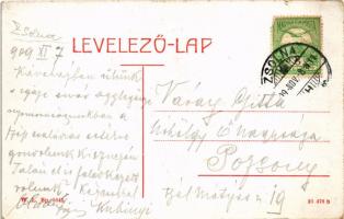 1909 Zsolna, Sillein, Zilina; Takarékpénztár, lovaskocsi. W.L. Bp. 5846. / savings bank, horse cart